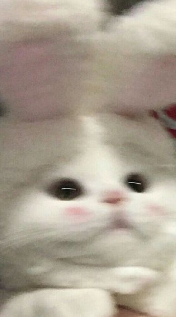 รับสแกนวีแชท~👻