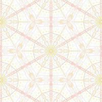 🌟揚升、開悟、回家☀️集合吧！三波志願者們，讓我們把光與愛❤️送到每一個角落🌏