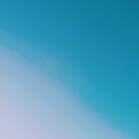 同性愛者(女子限定)