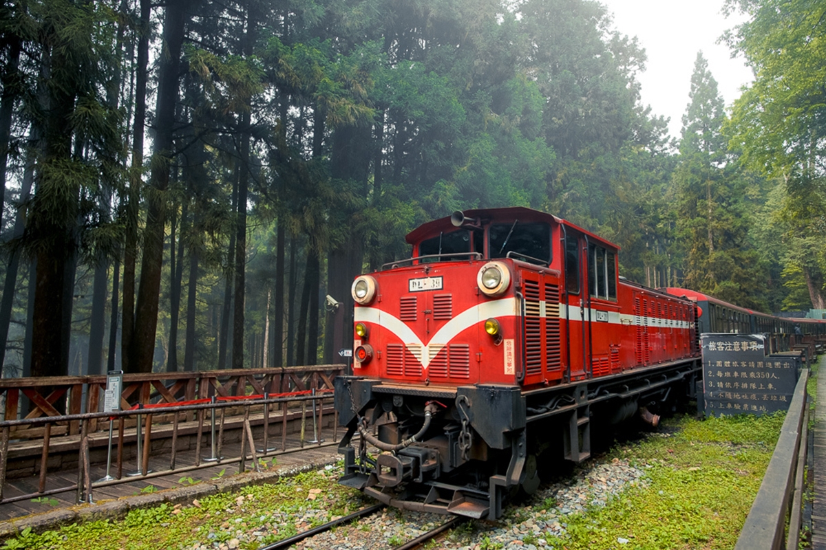 負離子、芬多精吸到飽！最強國家森林遊樂區TOP10：千年神木、免門票逛整天