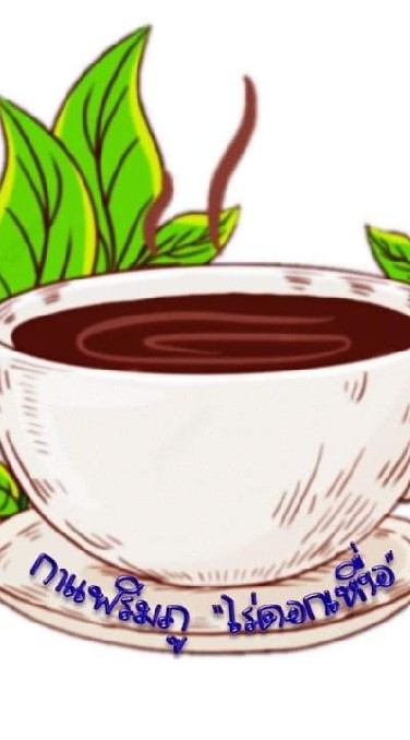 กาแฟริมภู ไร่ดอกเหงื่อ สวนโกโก้นครนายก