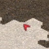 天堂經典版 全自動喝水 喊話 Buff 撿物 高寵 輔助程式