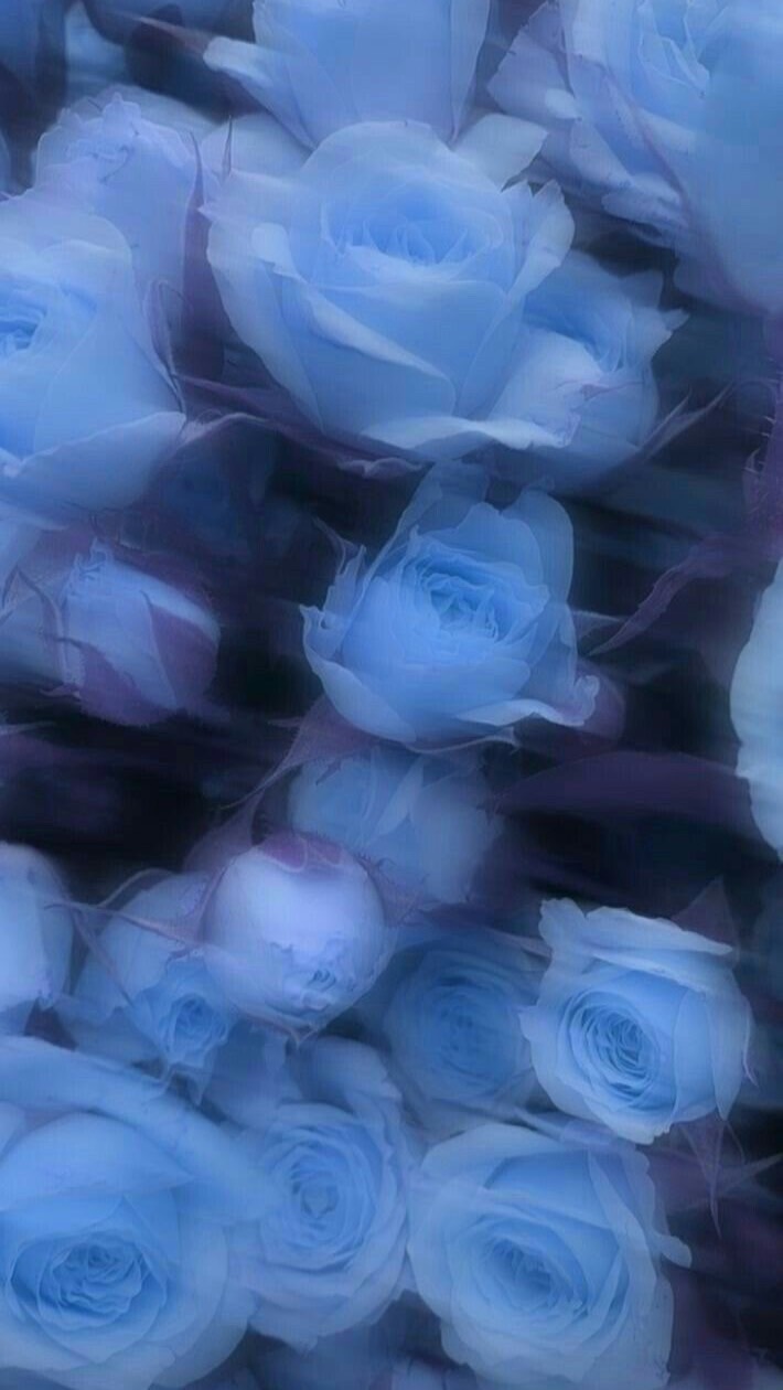 理想絵図♡；２ｊ３ｊハント