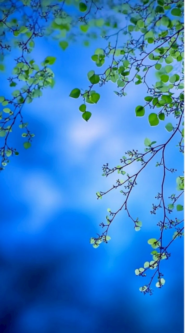 自分に自信がない子おいで