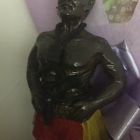 兩隻豬