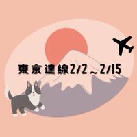 東京連線2/3～2/15 gogo