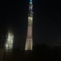 7月16日⚾️🐻