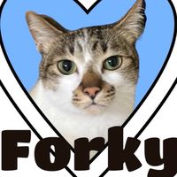 Forky’s shop