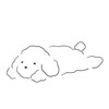 ⭐️🐶ポット　協力オプ　TikTokライト