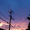 夕焼け小焼けでまたあした ‼️ 歌い手 需要 長文 ・ 声 はんと ‼️🫢