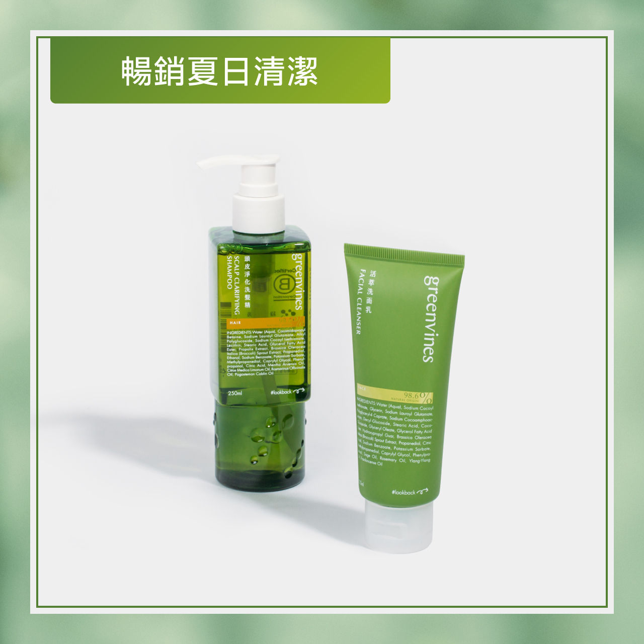 超過 18 萬人見證的頭皮淨化洗髮精 ，以巴西頂級綠蜂膠調理頭皮、舒緩出油不適，洗後輕盈蓬鬆；搭配 98.6% 天然來源、植物潔淨複方的活萃洗面乳，溫和洗淨、保濕柔嫩不緊繃。 迎接炎熱夏日，特別推薦給
