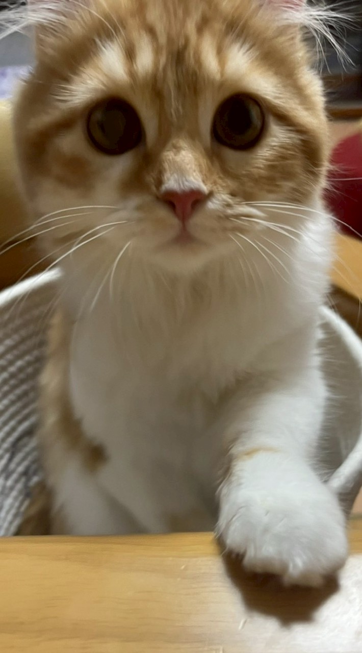 仲良しグループ
