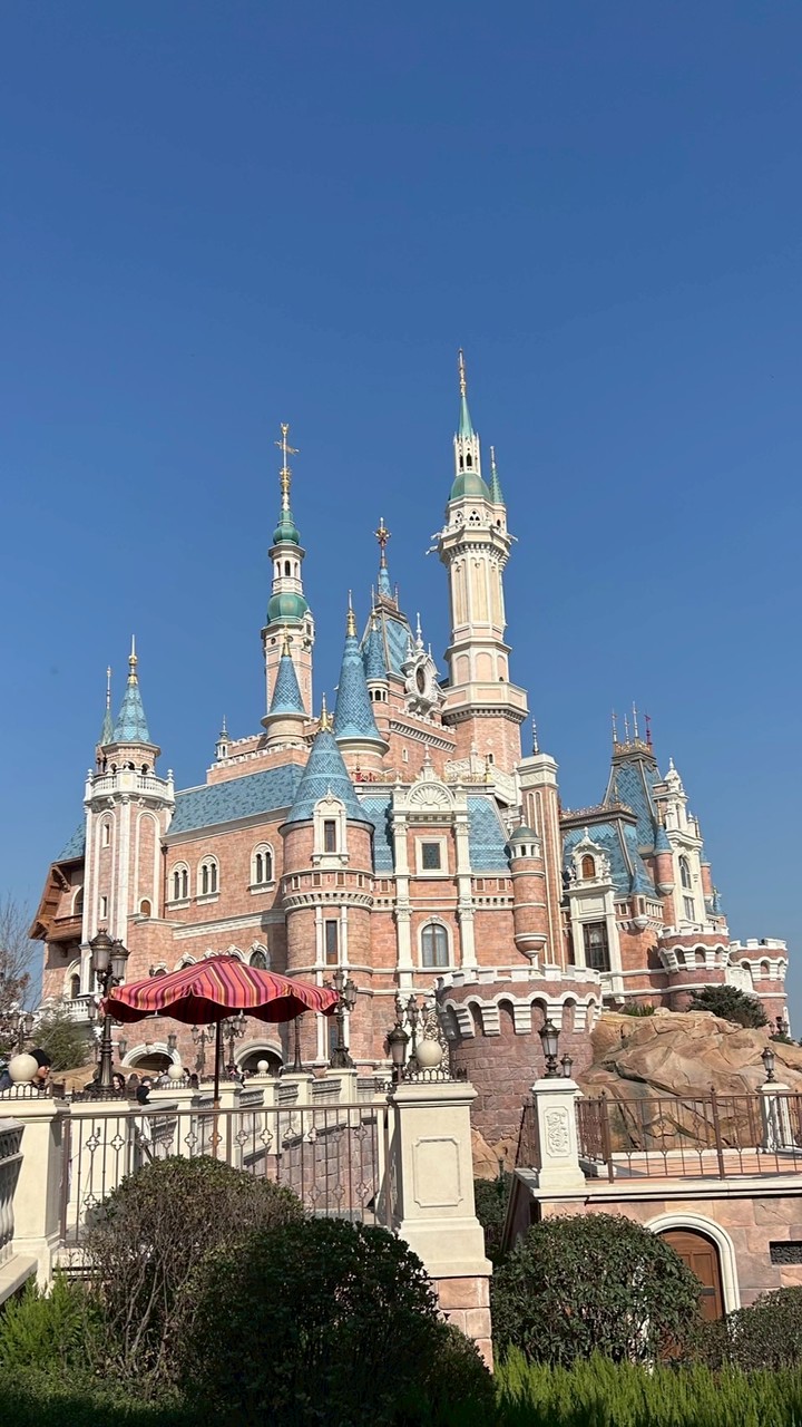 上海迪士尼代購🎀