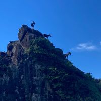 小小羊休閒登山社