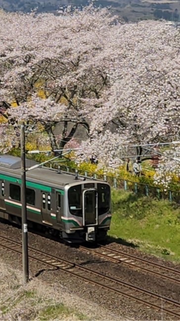 ささだいオプチャ(鉄道)