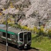 ささだいオプチャ(鉄道)