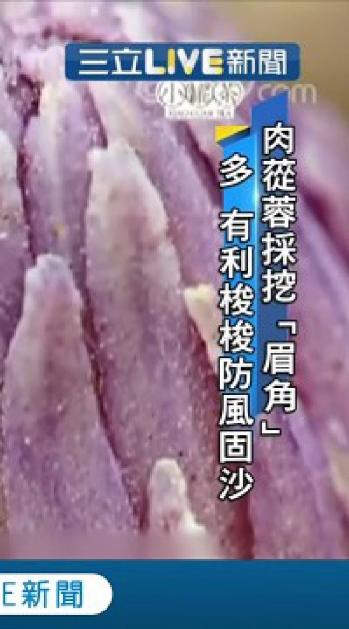 認識肉蓯蓉