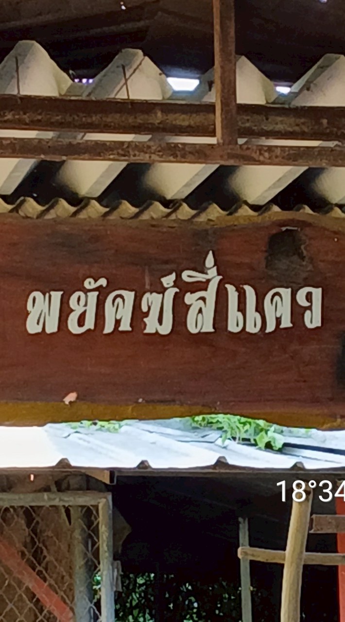 ซุ้มไก่ชนพยัคฆ์สี่แคว