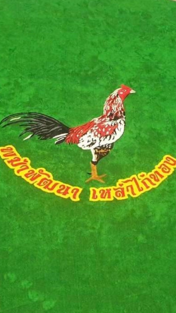 ไก่ทอง ฟาร์ม พม่าพัฒนาเหล่าไก่ทอง