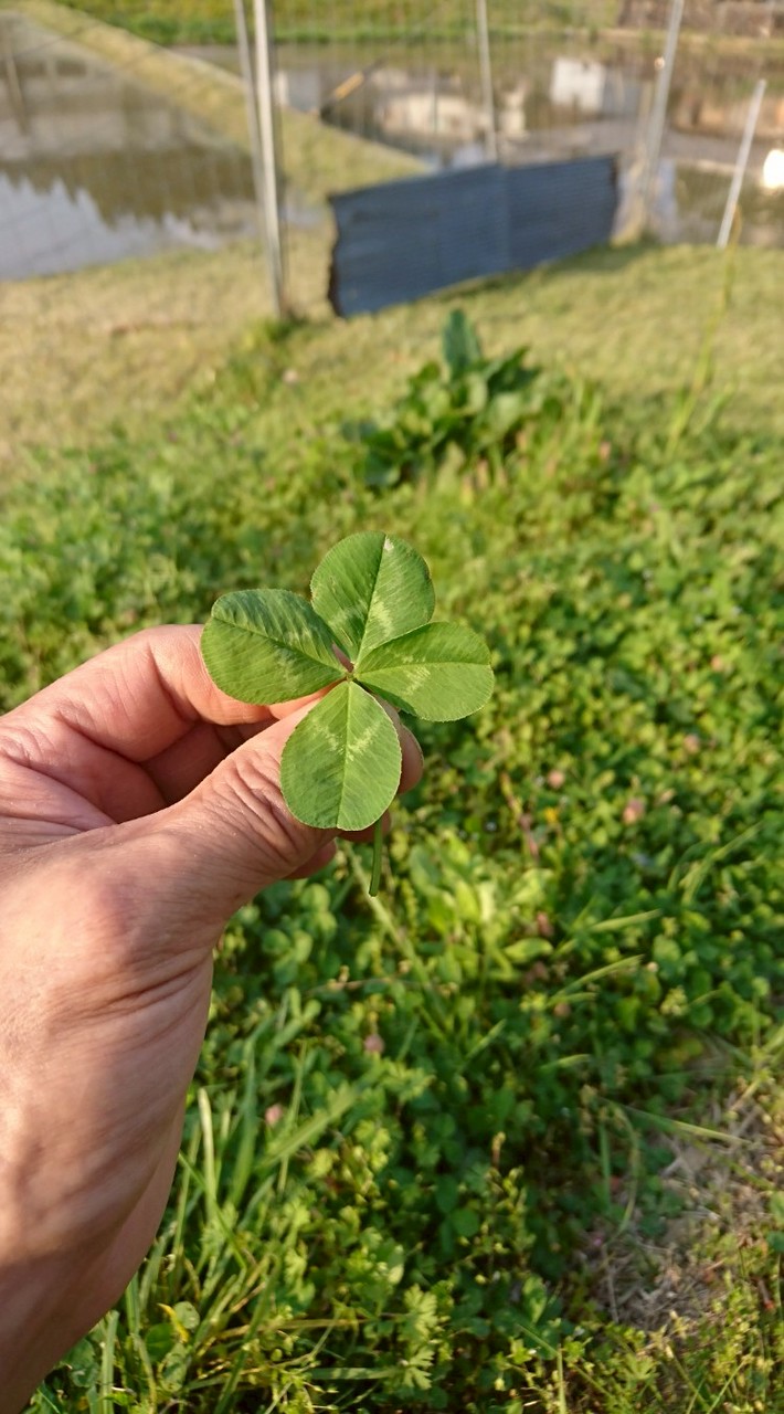 #50代#60代のセカンドハウス🍀