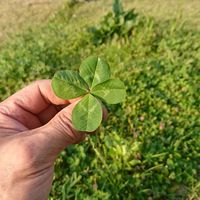 #50代#60代のセカンドハウス🍀