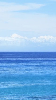 愛知のいれりすさん友達になろう🐿