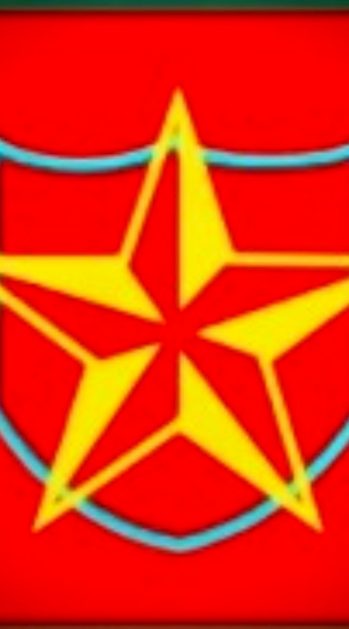同志軍及び露西亜革命軍(WarTycoon)
