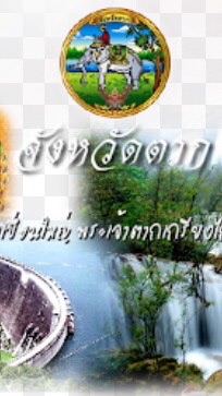 คนตากสู้ภัย โควิช-19