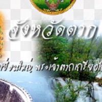 คนตากสู้ภัย โควิช-19