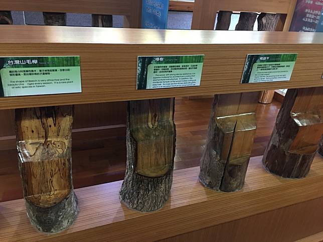 ▲太平山各景點介紹，也有樹種介紹。（圖／奧丁丁體驗）