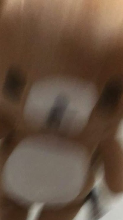 電波 電波 聞こえてるの？ ＊ 全緩也
