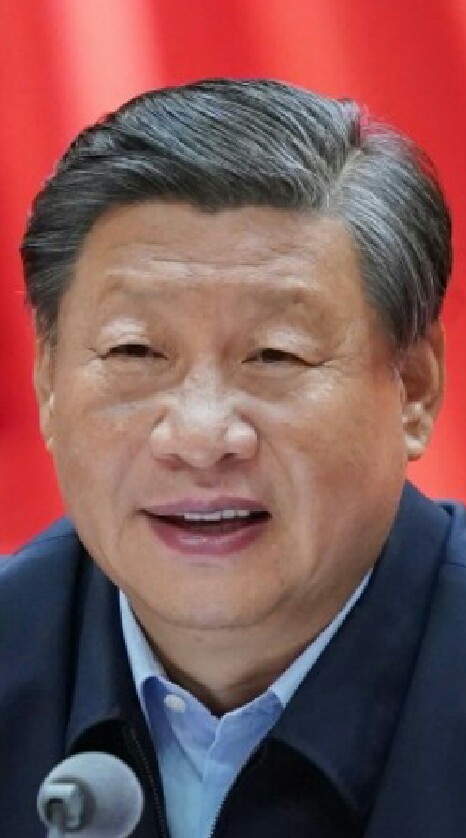 習近平粉絲團