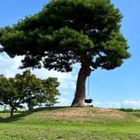 おとなの放課後　60代〜