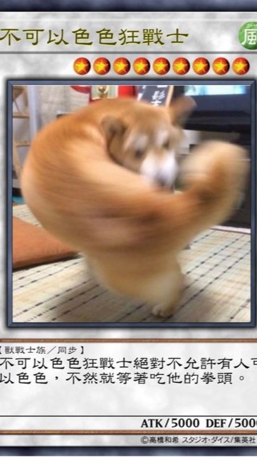 大學玩很大人生很黑白