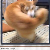 大學玩很大人生很黑白