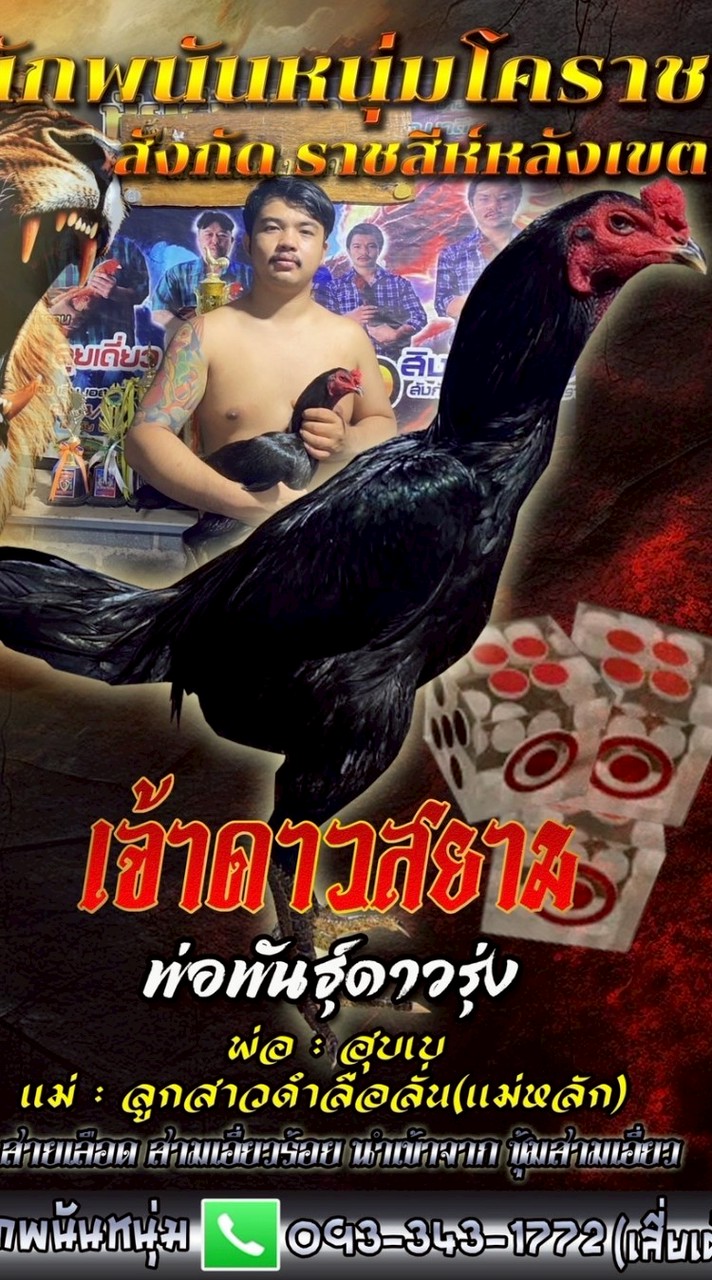 ซุ้มนักพนันหนุ่มโคราช ราชสีห์หลังเขต