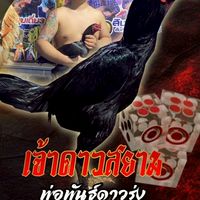 ซุ้มนักพนันหนุ่มโคราช ราชสีห์หลังเขต