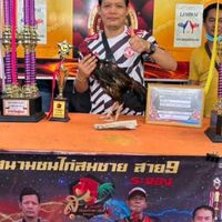 ช.การยาง
