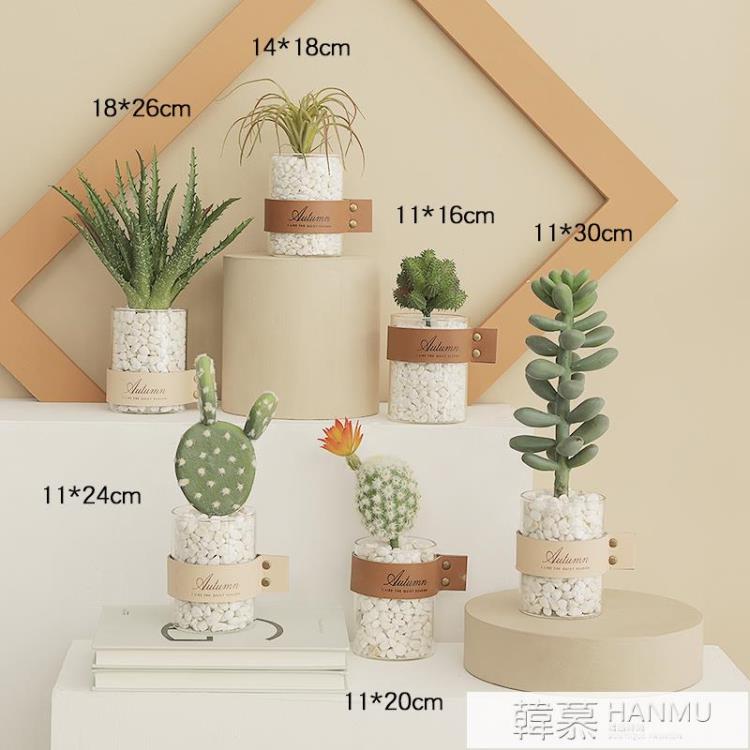 北歐ins仿真多肉植物盆栽擺件家居客廳擺設綠植裝飾仙人掌小盆景【摩可美家】