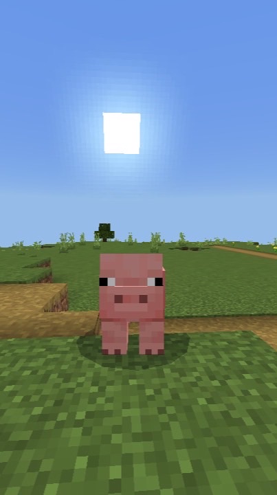 マイクラを楽しくする場