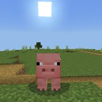 マイクラを楽しくする場