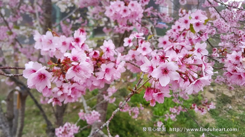 20150309_101950