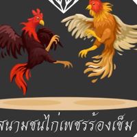 สนามชนไก่เพชรร้องเข็ม