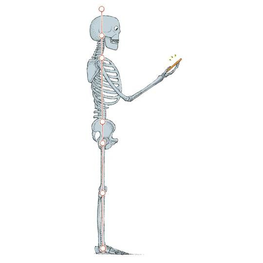 朝 出かける前に背骨リセット 姿勢 歩き方の正解 Tarzan