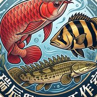 瑞辰興水族工作室