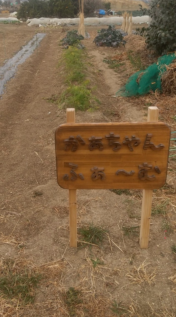かあちゃんふぁ〜む🌱つながり畑