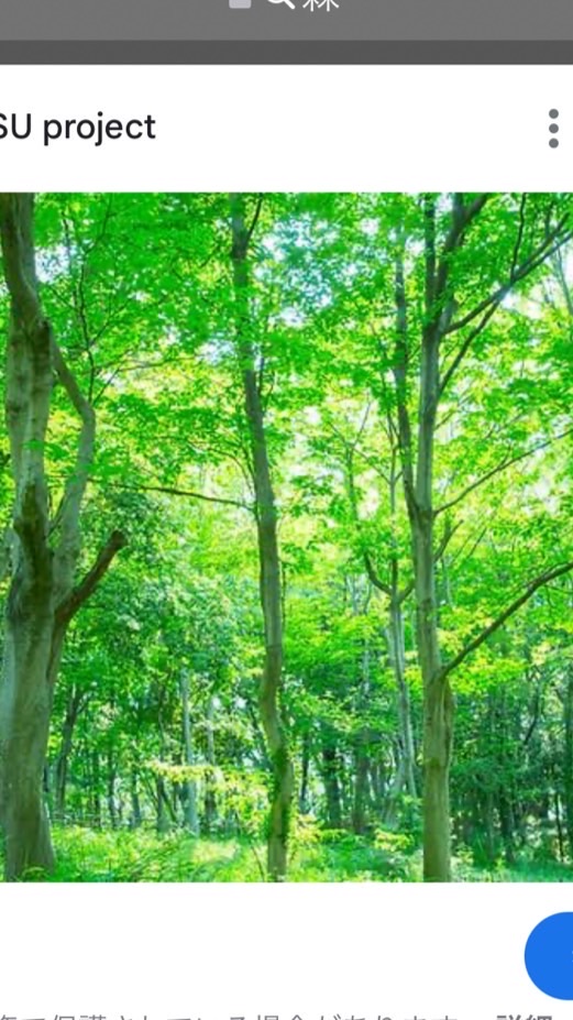 【プレゼント企画あり】副業の森🌳🌳🌳