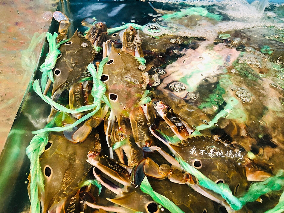 野柳風景區,海洋世界,野柳海洋世界,三嫂的店,小琉球望海亭,野柳美食,萬里 海鮮餐廳,北海岸海鮮,阿 雪 海鮮 熱 炒,北海岸現撈海鮮