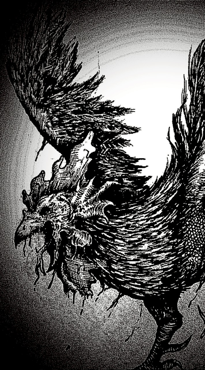 🐔