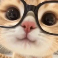 建德國小學生